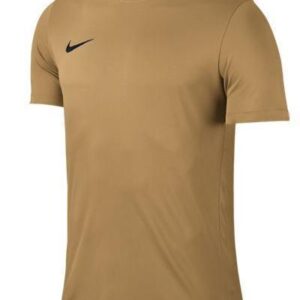 Dětský dres s krátkým rukávem Nike Park VI Zlatá / Černá