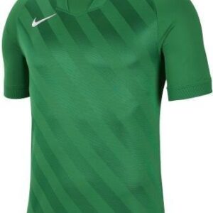 Dres Nike Dri-FIT Challenge III Zelená / Bílá