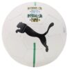 Fotbalový míč Puma Neymar Jr. Fan Ball Bílá - Image 2